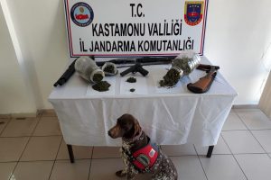 Jandarmadan uyuşturucu operasyonu