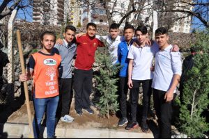 Yeşil okuldan yeşile katkı
