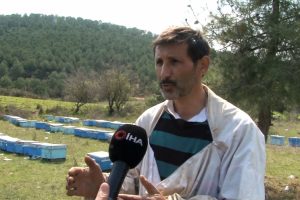 Bursa'da korkutan toplu arı &ouml;l&uuml;mleri