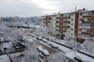 Erzurum'da kar yağışı