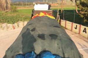 TIR'da 24 ton ka&ccedil;ak midye yakalandı
