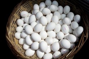 2500 yıllık mezarda kırılmamış yumurtalar bulundu