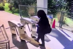 Belgrad Ormanı'nda &ouml;l&uuml; bulunan Arda'nın son g&ouml;r&uuml;nt&uuml;s&uuml;