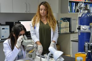 Bursa Uludağ &Uuml;niversitesi'nden 25 alanda 191 doktora &ouml;ğrencisine Y&Ouml;K bursu