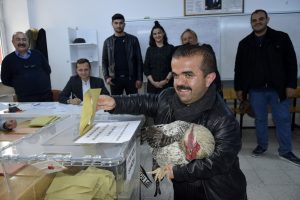 130 santim boyundaki İmran oy Kullanmaya &ccedil;illi horozuyla geldi