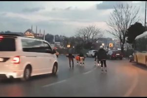 Patenli gen&ccedil;lerden tehlikeli yolculuk