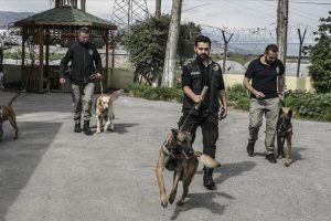 'Hassas burunlar' zehir tacirlerine ge&ccedil;it vermiyor