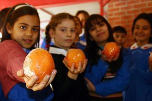 Beslenme okuryazarlığı okulda başlayacak