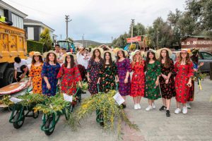 Ala&ccedil;atı Ot Festivali başlıyor