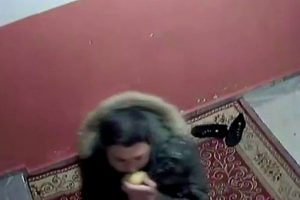 Elma yiyerek ayakkabı &ccedil;alan hırsız kamerada