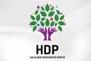 Kars'ta yeniden sayımda HDP'li adayın oyu arttı