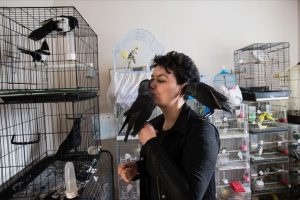 Evini yaralı ve hasta hayvanlara a&ccedil;tı