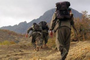 PKK'dan ka&ccedil;an 5 ter&ouml;rist, teslim oldu