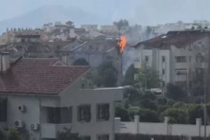 Yıldırım d&uuml;şen ağa&ccedil; saniyeler i&ccedil;inde alev topuna d&ouml;nd&uuml;