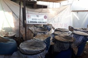 3 bin litre ka&ccedil;ak i&ccedil;ki ele ge&ccedil;irildi