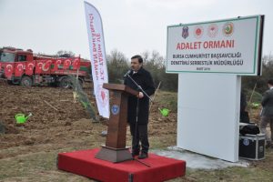 İmralı'ya 42 bin, Bursa'ya 30 bin adalet fidanı diktiler