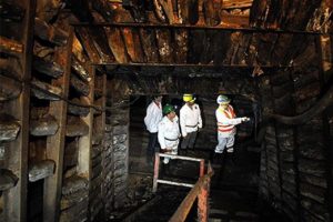 Madencilikte 253 milyon liralık gelir elde edildi