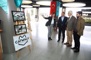 Bursa Nil&uuml;fer'den sokak hayvanlarına yardım eli