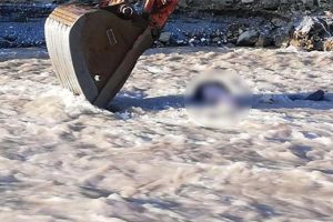 Dengesini kaybedip k&ouml;pr&uuml;den d&uuml;şen &ccedil;ift&ccedil;i hayatını kaybetti