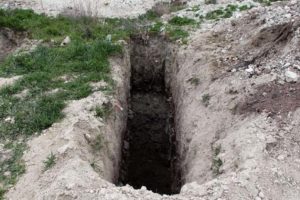 Burdur'da barınak yakınındaki &ccedil;ukurlarda kedi ve k&ouml;pek &ouml;l&uuml;leri bulundu