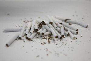 Bunu yapan yandı! 10 bin 555 lira cezası var