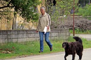 Kaybolan k&ouml;peğini diğer k&ouml;peklerle birlikte arıyor