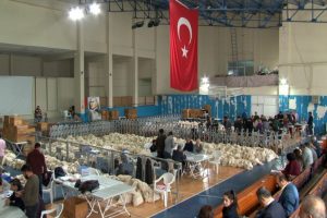 Gaziosmanpaşa'da oy sayım işlemleri devam ediyor