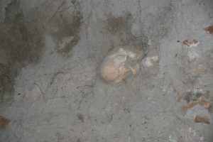 Boş arazide ortaya &ccedil;ıkan insan kemikleri korkuttu