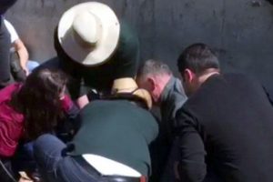 Boğa g&uuml;reşi izlerken hayatını kaybetti