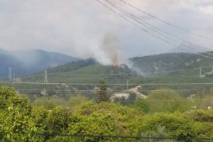 Orman yangınında 2 hektarlık alan zarar g&ouml;rd&uuml;!