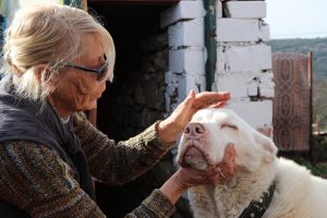 K&ouml;pekleri i&ccedil;in T&uuml;rkiye'de yaşamayı se&ccedil;ti
