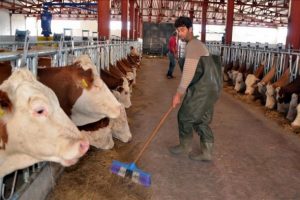IPARD 2 kapsamında yeni proje başvuruları başladı