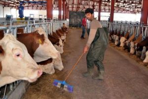 IPARD 2 kapsamında yeni proje başvuruları başladı