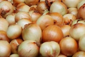 Kapılar a&ccedil;ıldı ama soğanın fiyatı yine 10 TL
