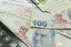 Estlin: T&uuml;rk ekonomisi d&uuml;nyadaki 13. b&uuml;y&uuml;k ekonomi