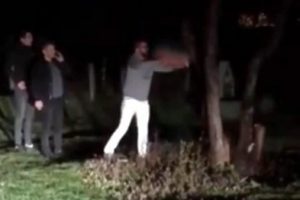 Piknikte ağacı kesip yaktılar... O g&ouml;r&uuml;nt&uuml;lere tepki!