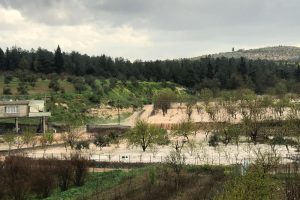 Gaziantep'te dolu ve sağanak sele neden oldu
