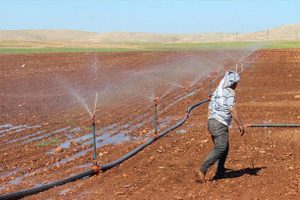 Tarım ve Orman Bakanlığı'nca arazi toplulaştırma kararı