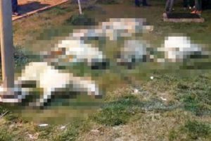 B&uuml;y&uuml;k tepki &ccedil;eken olayda 3 g&ouml;zaltı