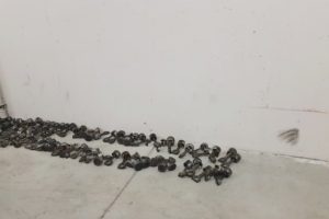 G&uuml;mr&uuml;k ka&ccedil;ağı 2 bin 560 adet oto yedek par&ccedil;ası ele ge&ccedil;irildi