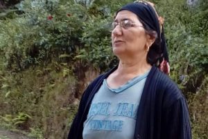 İlkel teleferikten başına odun d&uuml;şen kadın hayatını kaybetti