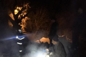&Ccedil;ıkan yangında 7 hayvan telef oldu