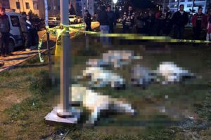Ankara'da 16 k&ouml;peği zehirleyen zanlılar serbest bırakıldı