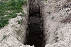 &Ccedil;ukurda bulunan kedi ve k&ouml;pek &ouml;l&uuml;leriyle ilgili yeni gelişme