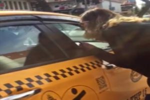 Taksicilerin 'kısa mesafe' pazarlığı kameraya yansıdı