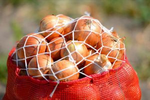 Tekin: 'Nisan sonunda soğan fiyatının 1-1,5 lira olması bekleniyor'