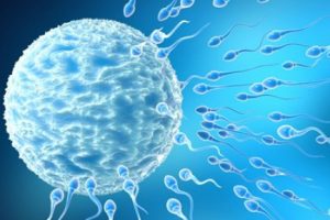 Sperm sayısı 60 milyondan 15 milyona indi