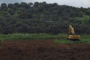 Yol i&ccedil;in zeytin ağa&ccedil;larının k&ouml;klenmesine vatandaştan tepki