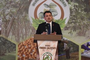 Bakan Pakdemirli: "Fındığın T&uuml;rkiye'ye katkısını, 3 milyar dolar olarak belirledik"