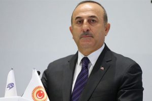 Cezayirlilerden Dışişleri Bakanı Mevlüt Çavuşoğlu'na destek